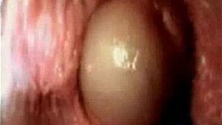 internal vagina sex porn video